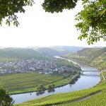 Trittenheim Moselschleife